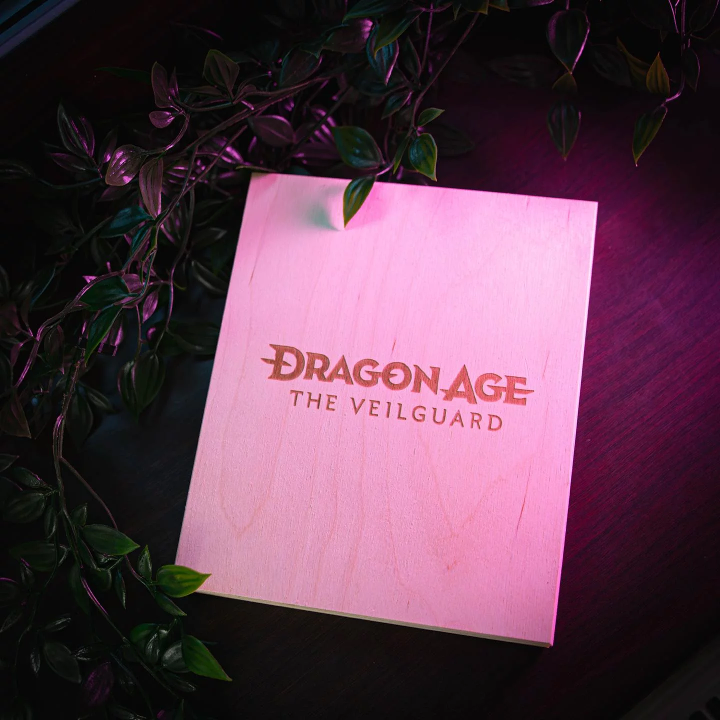 dragonage, DragonAgeTheVeilguard, woodbook, predobjednavky