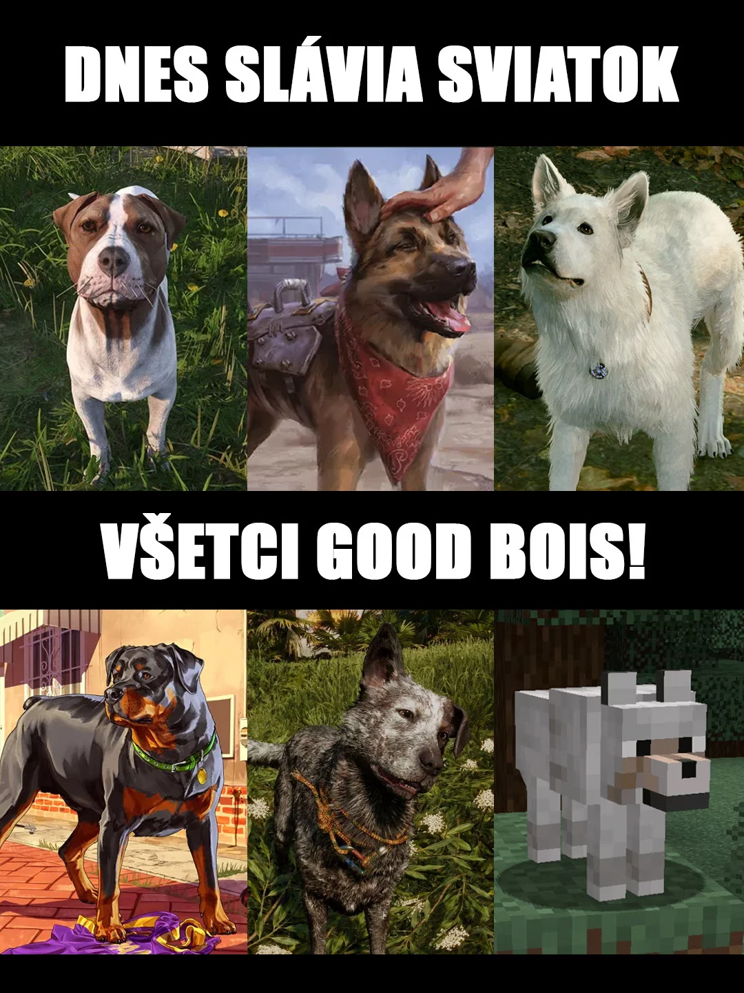 goodboi, dogsofinstagram, doggos