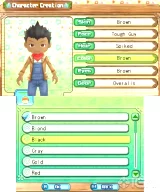 Harvest Moon: A New Beginning (3DS)