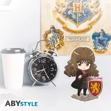 Akrylová figurka Harry Potter - Harry & Hedwig dupl