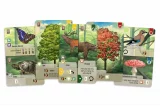 Desková hra Smíšený les: Pomezí (rozšíření) dupl