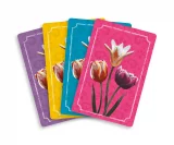 Desková hra Dewan dupl