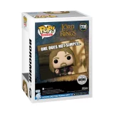 Figurka Lord of the Rings - Gandalf (Funko POP! Movies 443) dupl