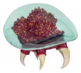 Figurka World of Nintendo - Ultraviolet Glow dupl