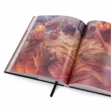 Kniha The Elder Scrolls: Art Book - Artbook