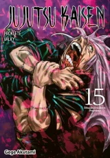 Komiks Jujutsu Kaisen - Prokleté války 14: Správně se rozhodnout dupl
