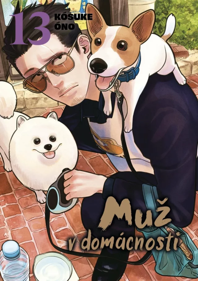 Komiks Muž v domácnosti 12 dupl