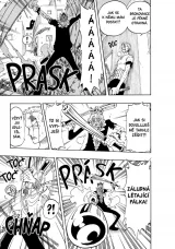 Komiks One Piece 12: Legenda začíná dupl