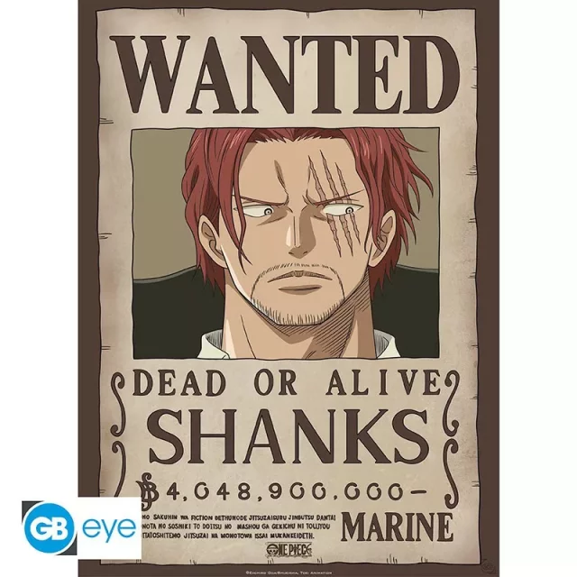 Plakát One Piece - Franky dupl