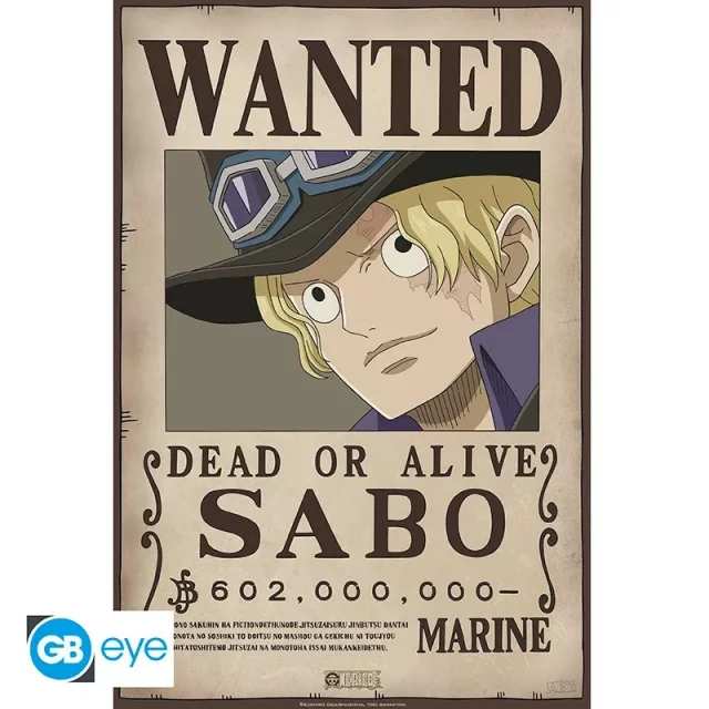 Plakát One Piece - Wanted Nico Robin dupl