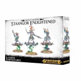W-AOS: Disciples of Tzeentch - Flamers of Tzeentch (3 figurky) dupl