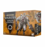 W-AOS: Warcry - Wildercorps Hunters (11 figurek) dupl