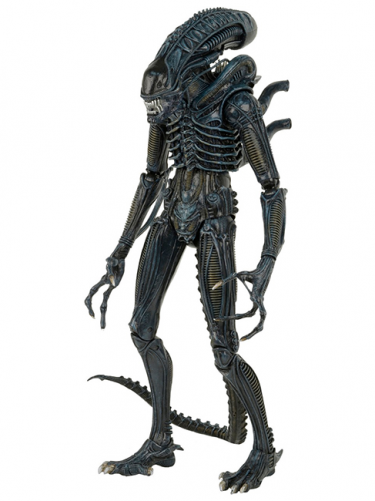 Figúrka (NECA) Alien Warrior (55cm)