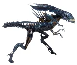 Figúrka Aliens - Xenomorph Alien Queen (NECA)