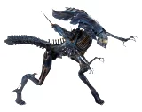 Figúrka Aliens - Xenomorph Alien Queen (NECA)