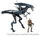 Figúrka Aliens - Xenomorph Alien Queen (NECA)
