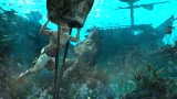 Assassins Creed 4: Black Flag (Speciální edice) - Předobjednávkový balíček - TPS