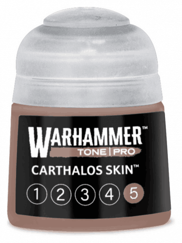 Základná farba Warhammer Tone Pro (Carthalos Skin 5) - tmavohnedá