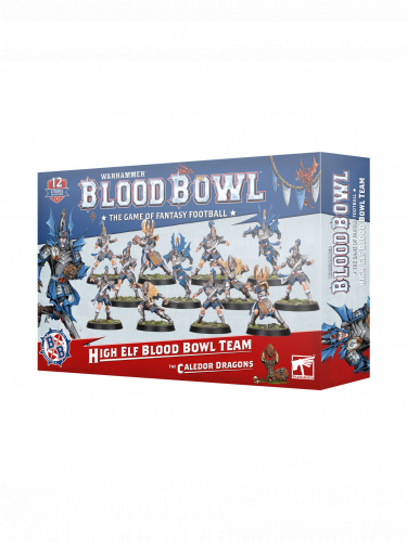 Stolová hra Blood Bowl - The Caledor Dragons (12 figúrok)