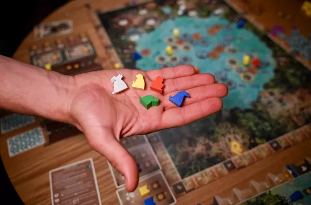 Stolová hra Posvátná bažina - Strategická stolová hra