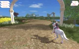 Planet Horse CZ