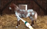 Planet Horse CZ