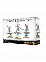 W-AOS: Disciples of Tzeentch - Tzaangor Enlightened (3 figúrky)