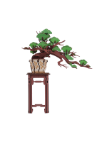 Stavebnica - Evergreen Pine Bonsai (drevená)