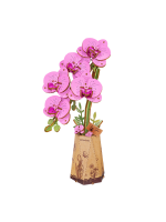 Stavebnica - Purple Moth Orchid (drevená)