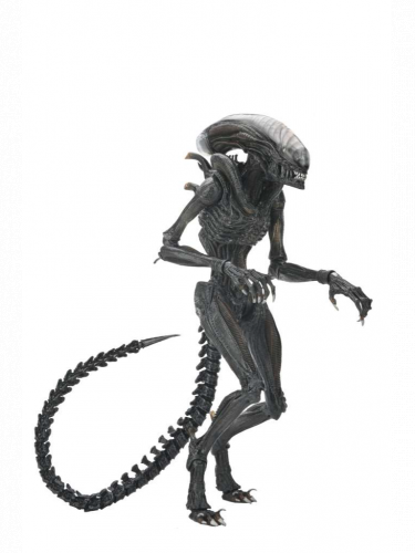 Figúra Alien: Romulus -  Scorched Xenomorph (NECA)