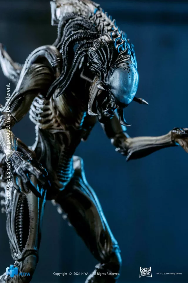 Figúrka Aliens vs. Predator - Predalien (DiamondSelectToys)