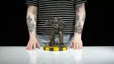 Figúrka Fallout - NCR Power Armor (Dark Horse)