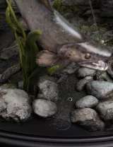 Soška Lord of The Rings - Smeagol & Deagol (Weta Workshop)