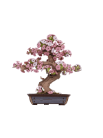 Stavebnica - Sakura Bonsai (drevená)