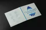 Oficiálny soundtrack Guild Wars 2: Janthir Wilds na 2x LP - Gramofónová platňa