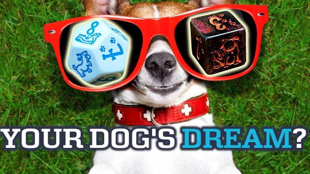 Your dog's dream? We have the perfect dice!