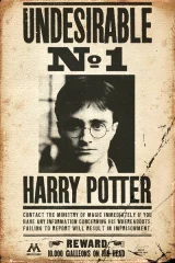 Plagát Harry Potter - Undesirable No 1