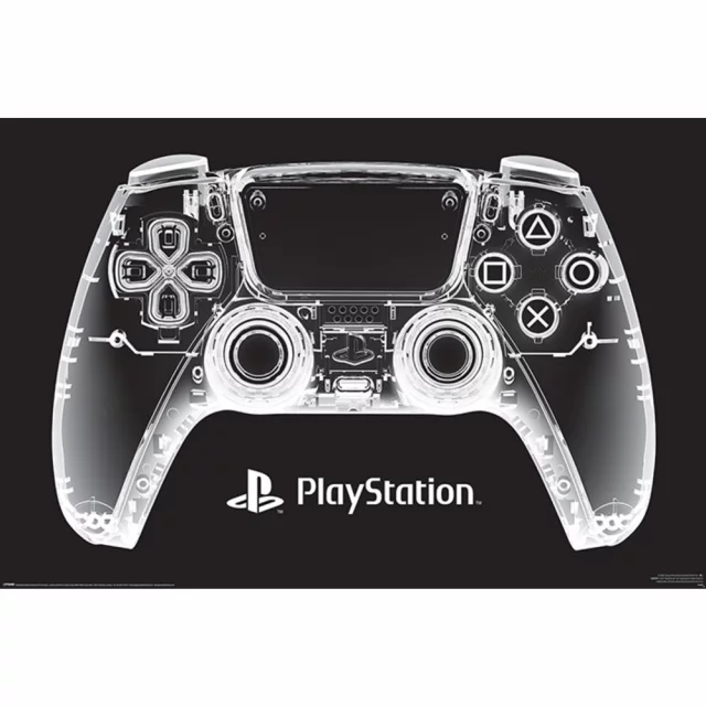 Plagát PlayStation - DualSense