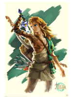 Plagát The Legend of Zelda: Tears of the Kingdom - Link Unleashed