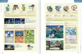 Kniha Pokémon Deluxe Character Guide ENG