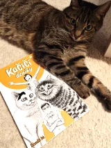 Komiks Kočičí deníky (Junji Ito)