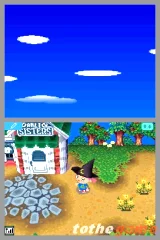 Animal Crossing: Wild World (NDS)