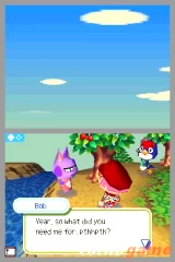 Animal Crossing: Wild World (NDS)