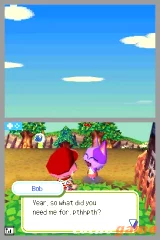 Animal Crossing: Wild World (NDS)
