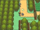 Pokémon Heart Gold + PokéWalker (NDS)