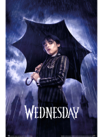 Plagát Wednesday - Umbrella