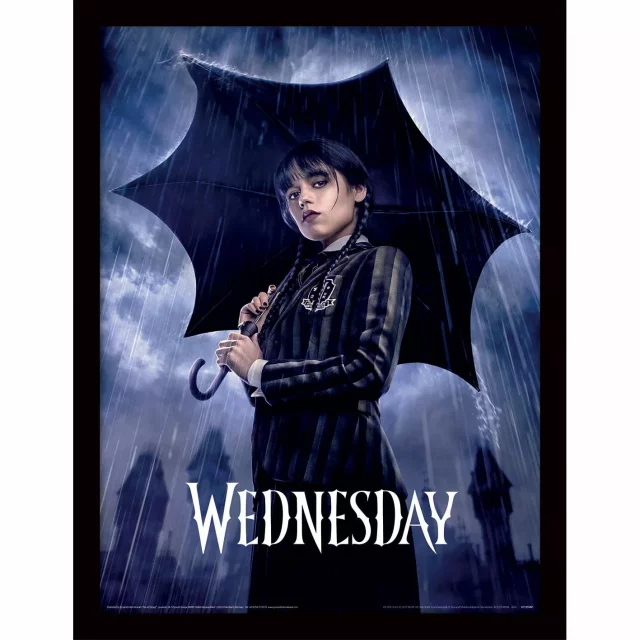 Zarámovaný plagát Wednesday - Downpour