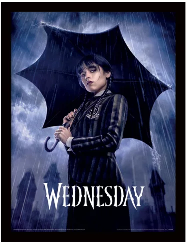 Zarámovaný plagát Wednesday - Downpour