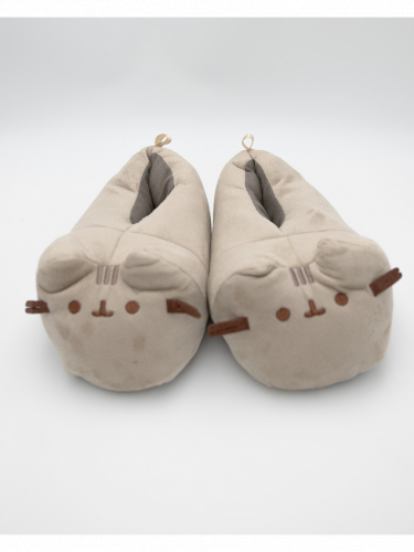 Papuče Pusheen - Slippers