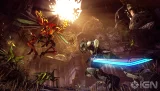 Borderlands 2 (Game of The Year) (PC)